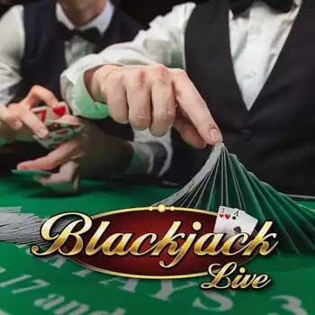 Live Blackjack logo by Evolution 7Gear Casino